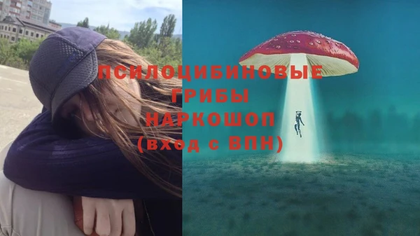mdpv Елизово