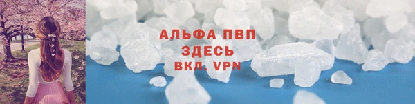стаф Елабуга