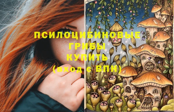 прущий лед Дмитров