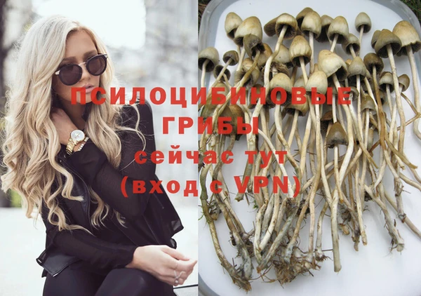 mdpv Елизово