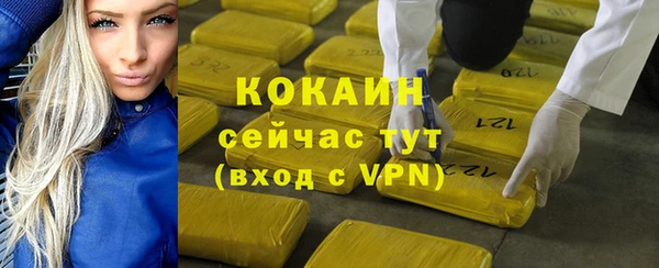дживик Дмитриев