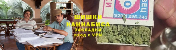 стаф Елабуга