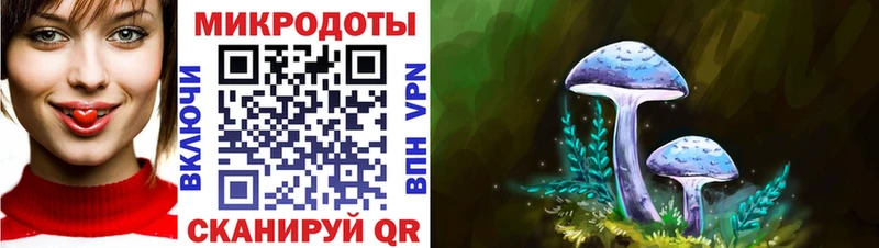 Псилоцибиновые грибы Psilocybe  Нижний Новгород 
