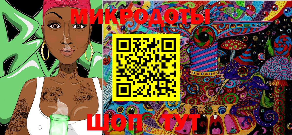 Псилоцибиновые грибы Psilocybe Нижний Новгород