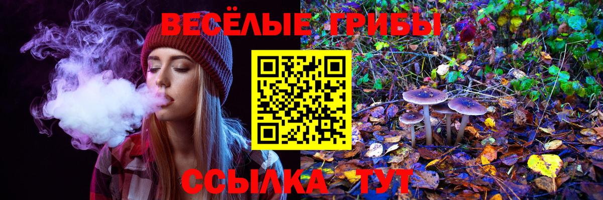 Нижний Новгород  Галлюциногенные грибы мухоморы  Вход с VPN 